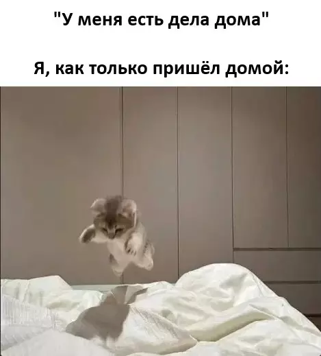 Смешная картинка №759940