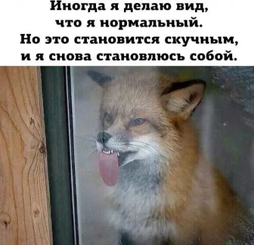 Смешная картинка №194271