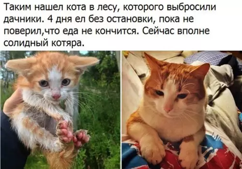 Смешная картинка №185064