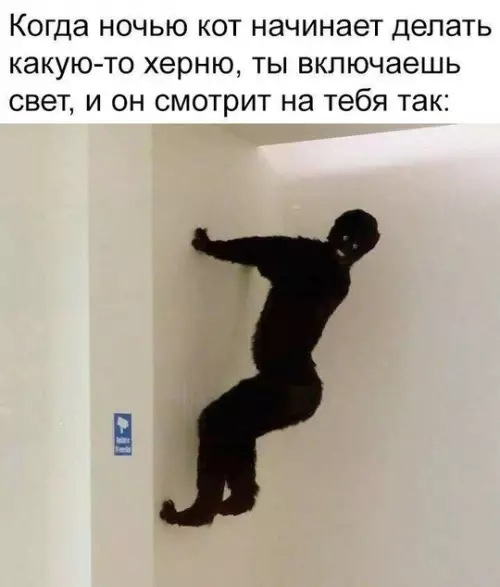 Смешная картинка №766588
