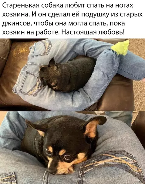Смешная картинка №341248