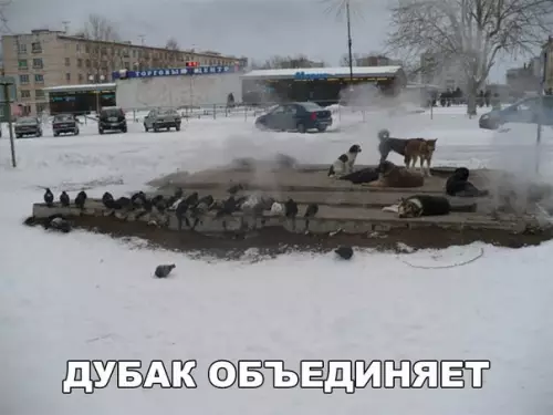 Смешная картинка №247375