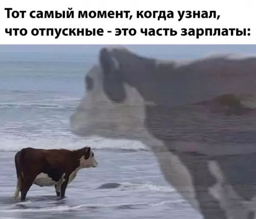 Смешная картинка №689431