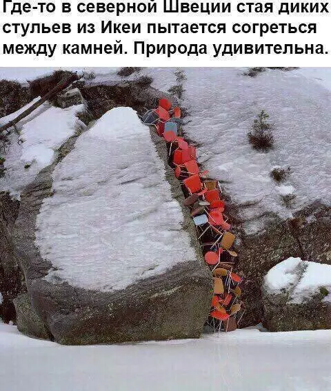 Смешная картинка №706498