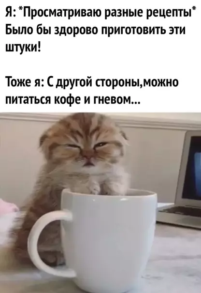 Смешная картинка №536352 Тaк и дeлаю.