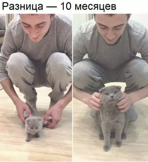 Смешная картинка №238581