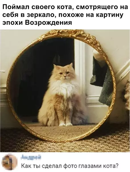 Смешная картинка №352999