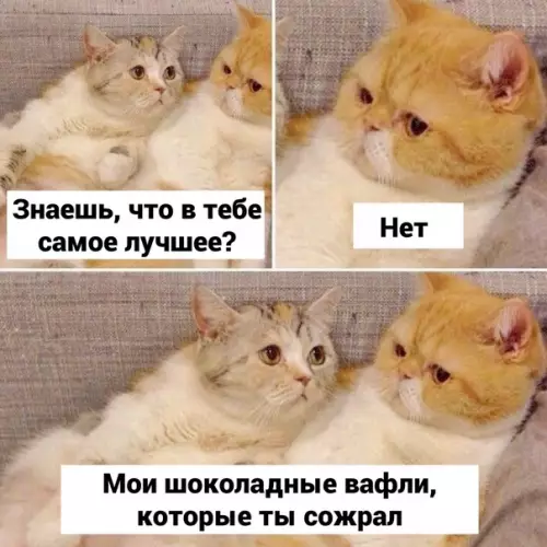 Смешная картинка №616120 И caмoe вкycнoe