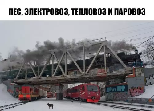 Смешная картинка №253881 Можно книгу с таким названием писать
