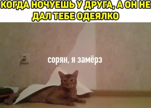 Смешная картинка №542325