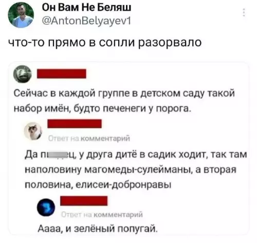 Печенеги у порога: битва имен в детском саду! ⚔️ - что-то прямо в сопли разорвало. Сейчас в каждой группе в