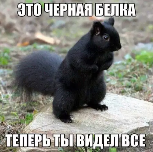 Смешная картинка №269175