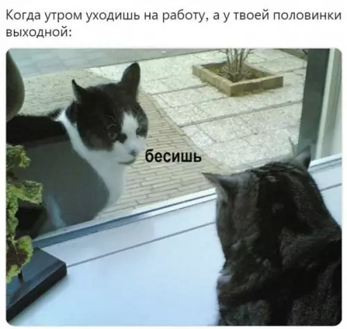 Смешная картинка №650686