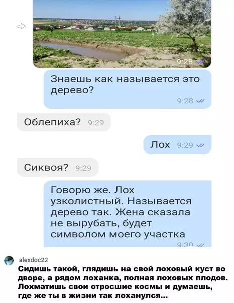 Смешная картинка №506540 Однажды на даче