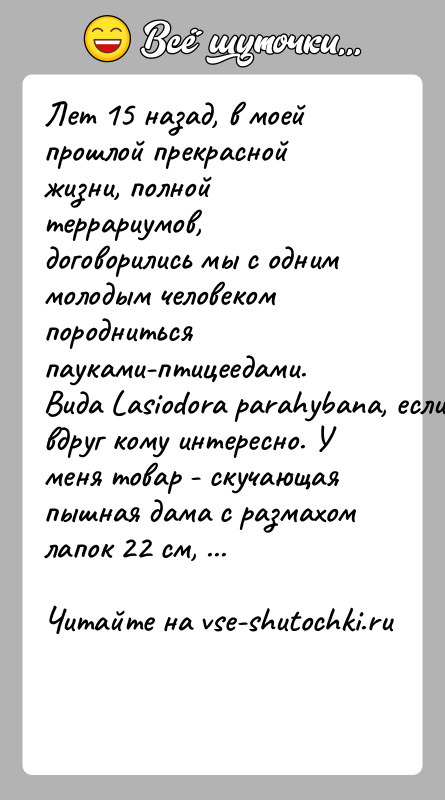 История: Лет 15 назад, в моей прошлой прекрасной жизни, полной террариумов, договорились мы с одним молодым человеком породниться пауками-птицеедами. Вида Lasiodora
