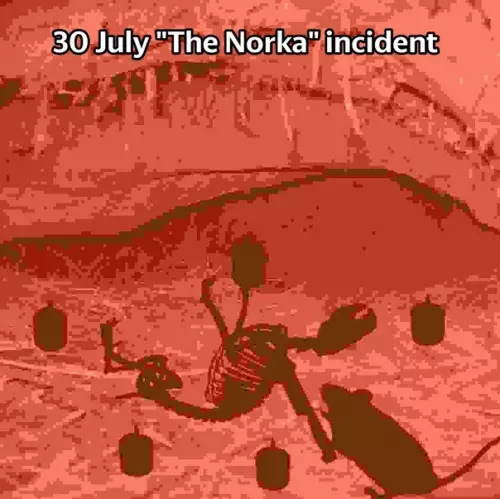 продолжение Смешная картинка №589472 The Norka