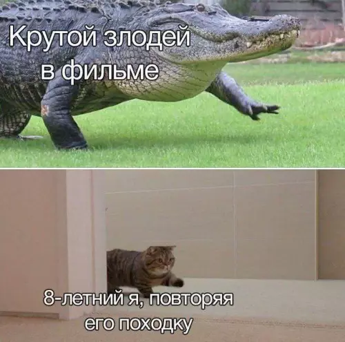 Смешная картинка №732739
