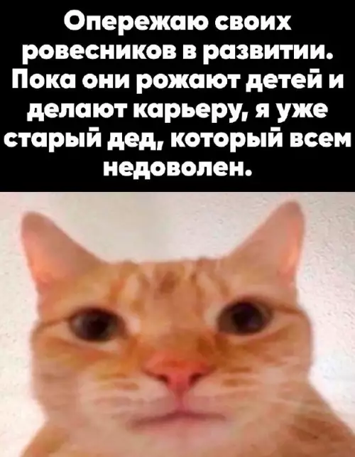Смешная картинка №734798