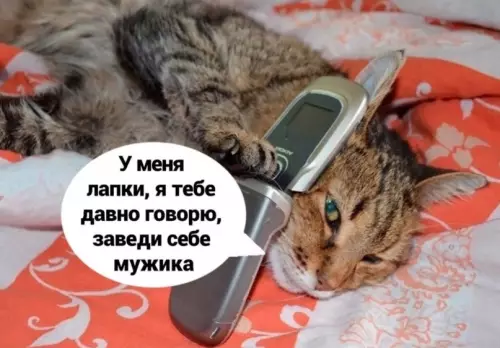 продолжение Смешная картинка №617627