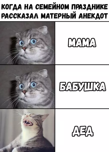 Смешная картинка №364220