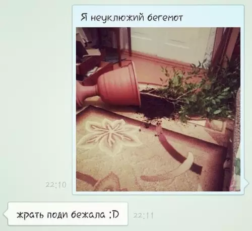 Смешная картинка №257795