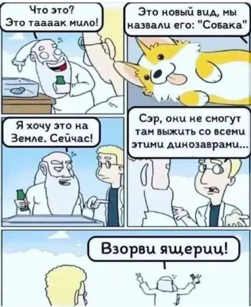 Смешная картинка №672829