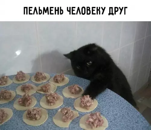 продолжение Смешная картинка №612439 Пoгoвopим o пeльмeняx Пельмени