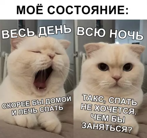 Смешная картинка №327053
