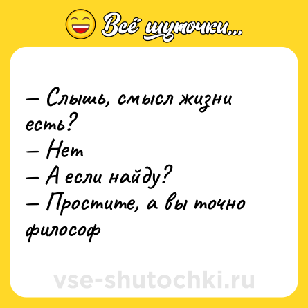 Шутка: — Слышь, смысл жизни есть? <br>— Нет <br>— А если найду? <br>— Простите, а вы точно философ