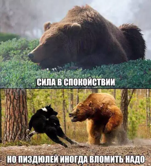 Смешная картинка №212749
