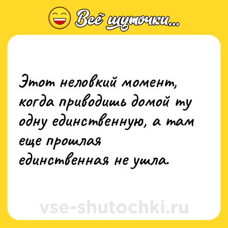 Шутка: Этот неловкий момент, когда приводишь домой ту одну единственную, а там еще прошлая единственная не ушла.