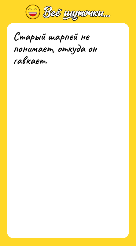 Старый шарпей не понимает, откуда он гавкает.