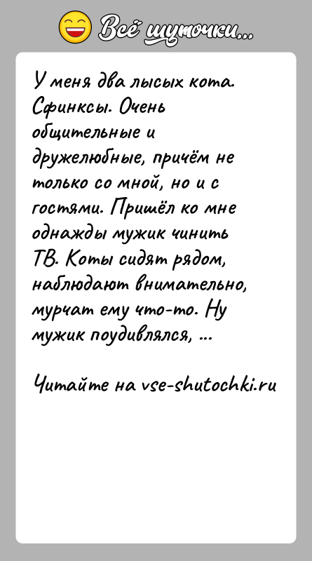 История: У меня два лысых кота. Сфинксы. Очень общительные и дружелюбные, причём не только со мной, но и с гостями. Пришёл