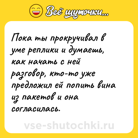 Шутка: Пока ты прокручивал в уме реплики и думаешь, как начать с ней разговор, кто-то уже предложил ей попить вина из пакетов и она согласилась.