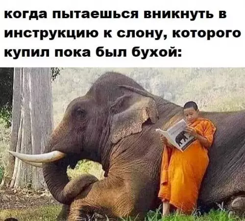 Смешная картинка №781695