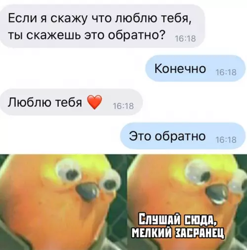 Смешная картинка №395929 любовь, переписка