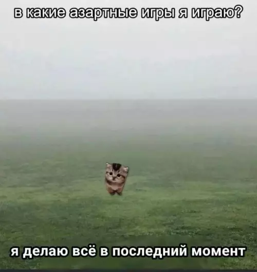 Смешная картинка №764125 моя любимая игра