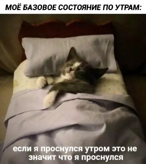 Смешная картинка №761817