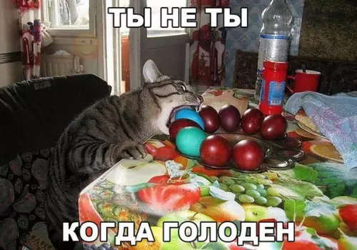 Смешная картинка №177148