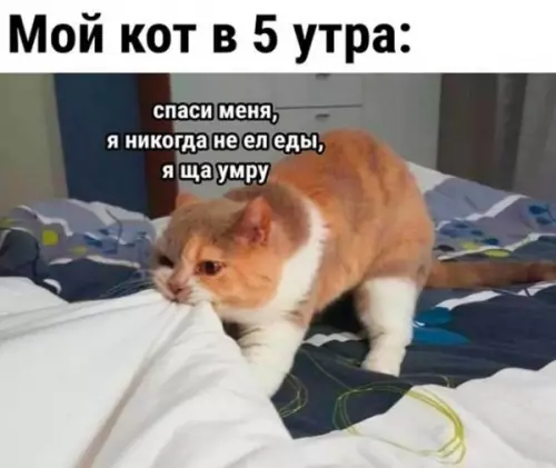 Смешная картинка №646720