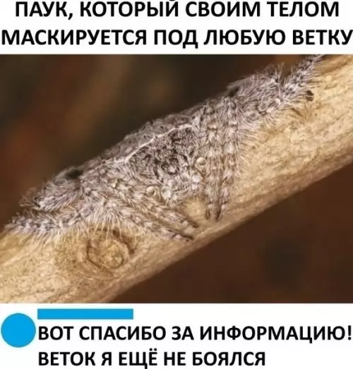 Смешная картинка №502024