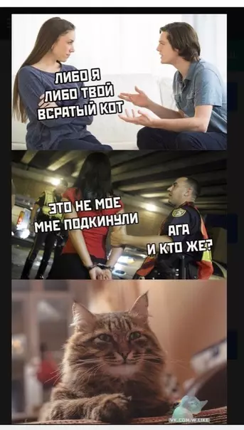 Смешная картинка №358832