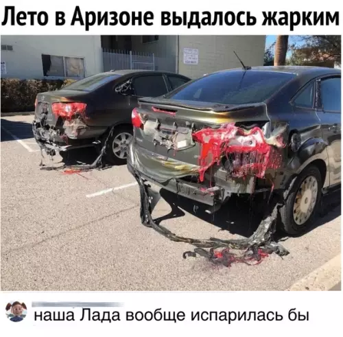 Смешная картинка №284923