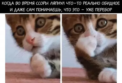 Смешная картинка №209553