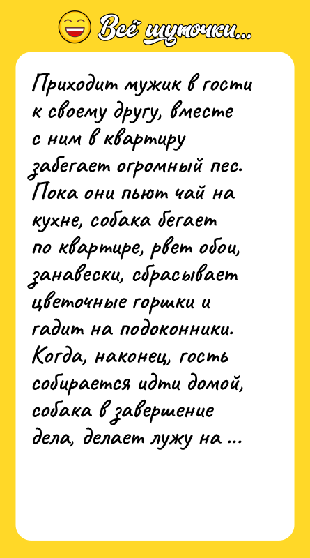 Приходит мужик в гости к своему другу, вместе с ним