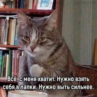 Смешная картинка №691786