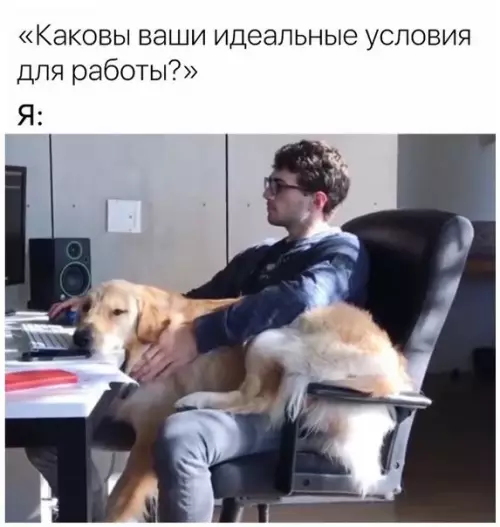 Смешная картинка №241282