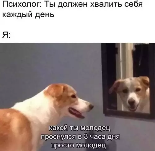 Смешная картинка №630269