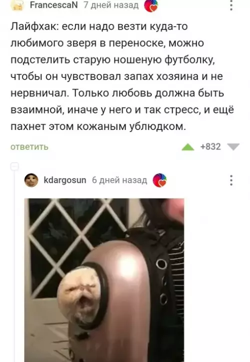 Смешная картинка №659813