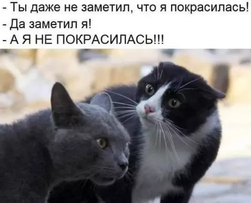 Типичный вечер в отношениях 😹 - - Ты даже не заметил, что я покрасилась! - Да